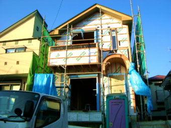 IMGP0317