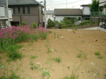 Imgp0226
