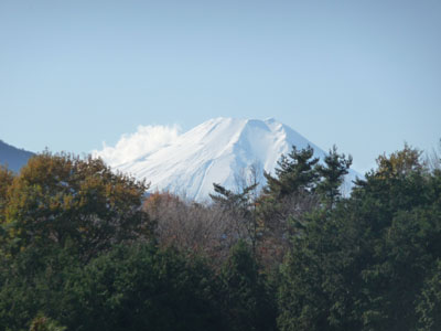 新田富士.jpg