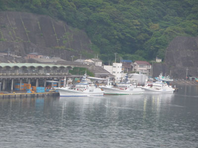 雨の勝浦港.jpg